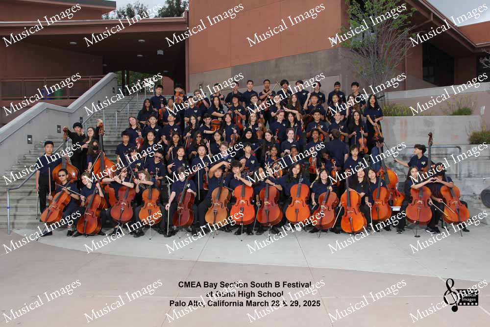 Musical Images